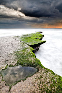 Green path by Jorge Maia