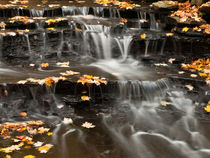 Buttermilk Falls von Shannon Workman