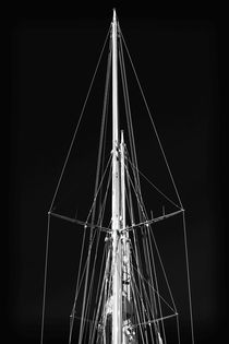 Mast Shapes von John Rizzuto