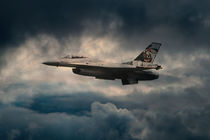 F16 Tiger by James Biggadike