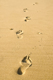 Einsame Fußspuren im Sand von caladoart