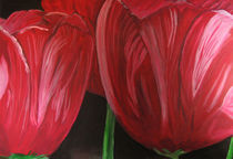 Rote Tulpenblüte by Klaus Engels