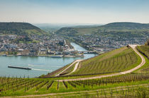 Rhein-Nahe-Eck 04 von Erhard Hess