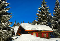 Tiefverschneites Blockhaus, Schweiz by gfc-collection