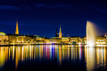 Die Alster in Hamburg von Dennis Stracke