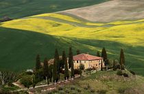 Frühling in der Toscana von Bruno Schmidiger