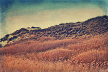 Amrum Dunes von AD DESIGN Photo + PhotoArt
