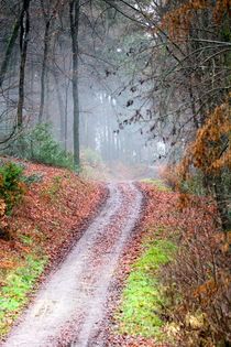 Weihnachtswanderung, leider ohne Schnee von Ivonne Wentzler