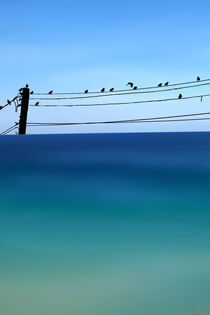 CRETAN SEA & BIRDS I von Pia Schneider