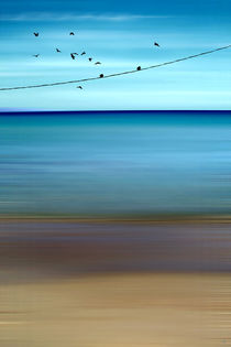 CRETAN SEA & BIRDS II von Pia Schneider