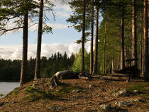 Schweden / Norwegen von elke krause