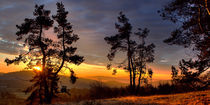 Sunrise, Sonnenaufgang über den Wacholderheiden by Christian Busch