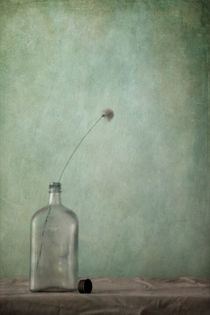 just an old bottle and its cap/nur eine alte Flasche und ihr Deckel by Priska  Wettstein