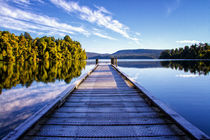 Mapourika Lake - Lago Mapourika by Víctor Bautista