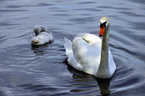 mother & child. by ria-photophobia