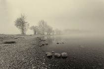 Bohinj's morning by Bor Rojnik