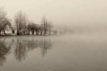 Bohinj's morning by Bor Rojnik