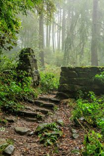 Misty Day in North Yorkshire by Louise Heusinkveld