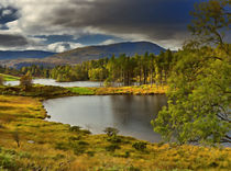 Tarn Hows, Lake District, Cumbria von Louise Heusinkveld