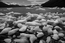 Ice floes in Lago Argentino, Patagonia, b/w von travelfoto