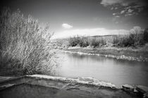 Rio Grande Hot Springs in Black and White von Judy Hall-Folde