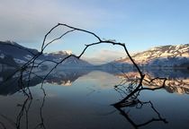 Kunst am See von Bruno Schmidiger