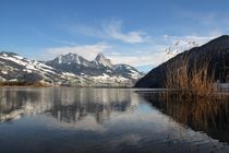 Stille am See by Bruno Schmidiger