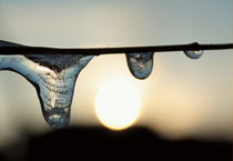 Gefrorene Tropfen bei Sonnenuntergang - Frozen drops while sunset by Johanna Leithäuser