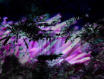 Surrealer Dschungel by mehrfarbeimleben