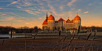 Schloss Moritzburg bei Dresden von ullrichg