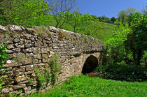 Viator's Bridge at Milldale, Staffordshire von Rod Johnson