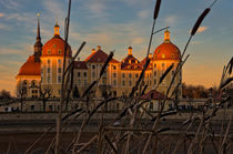 Schloss Moritzburg bei Dresden by ullrichg