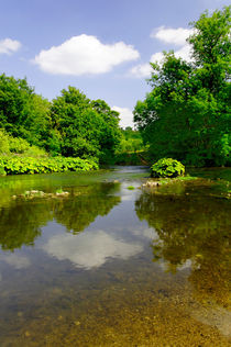 The River Wye Downstream, at Upperdale von Rod Johnson