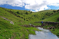 Crossing the Stream in Cressbrook Dale von Rod Johnson