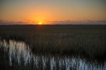 Morning On The Prairie von agrofilms