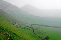 Along the Lower Reaches of Bunster Hill von Rod Johnson