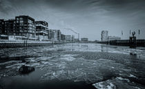 Grasbrookhafen IV von photoart-hartmann