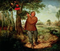 Bauer und Vogelnester von Pieter Brueghel the Elder