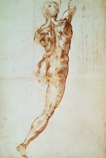 Nude, study for the Battle of Cascina by Buonarroti Michelangelo