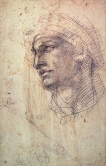 Study of a Head by Buonarroti Michelangelo