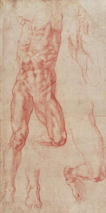 W.13r Study of a male nude, stretching upwards by Buonarroti Michelangelo