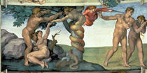 Sixtinische Kapelle: Der Sündenfall von Buonarroti Michelangelo