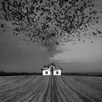 Bad Feelings von Dariusz Klimczak