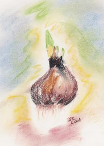 Oil Pastel - Hyacinth Bulb von Sabine Cox