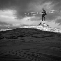 The Ladders by Dariusz Klimczak