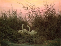 Swans in the Reeds by Caspar David Friedrich