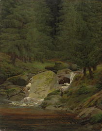 Tannenwald mit Wasserfall von Caspar David Friedrich