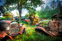 Out to Pasture Friends von Debra and Dave Vanderlaan