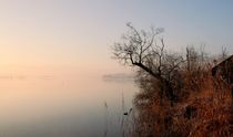 Morgen am See von Bruno Schmidiger