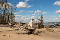 Boneyard Beach by John Bailey